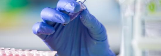 Hand covered by a glove holding a needle