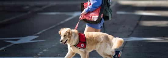 Female walking with a service dog