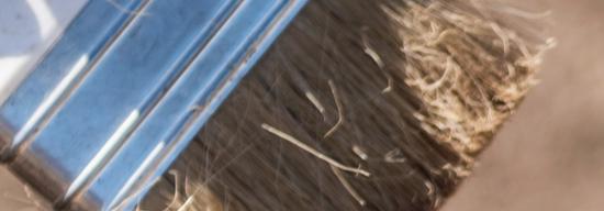 Image of a brush