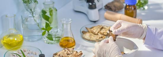 hands working in lab with natural substances