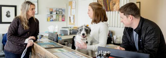 Female talking to two desk receptionists with the female one holding a white dog