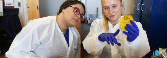 Students working in lab.