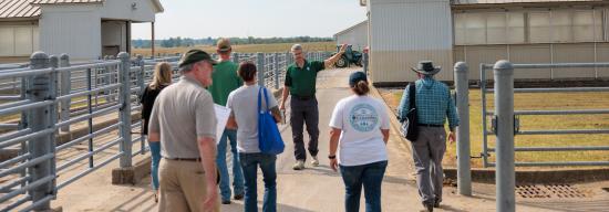 A educational lesson being given on farm.