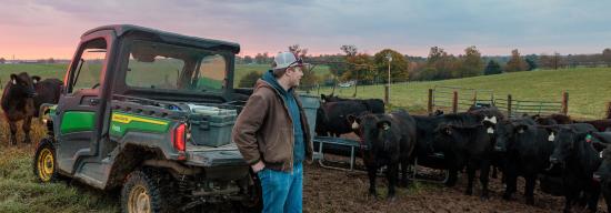 A student on a cow farm looking at cattle.