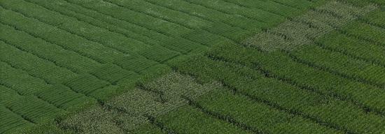 aerial image of farm land