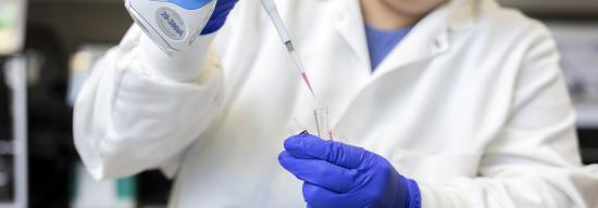 A person wearing a white lab coat, blue gloves, and glasses is working in a laboratory. They are using a blue electronic pipette to carefully dispense a pink liquid into a small clear test tube. In the background, there is a green wire test tube rack and a box of pipette tips on a dark countertop.