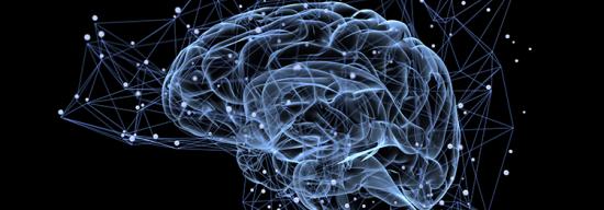 Picture of brain against a black background