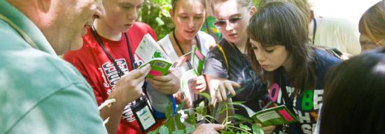 Teacher and his students looking at shrubbery