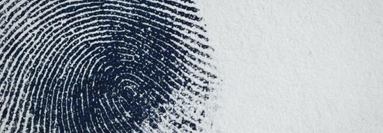 Blue fingerprint against a white background
