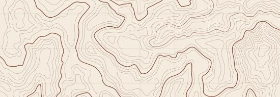 Picture of a brown map
